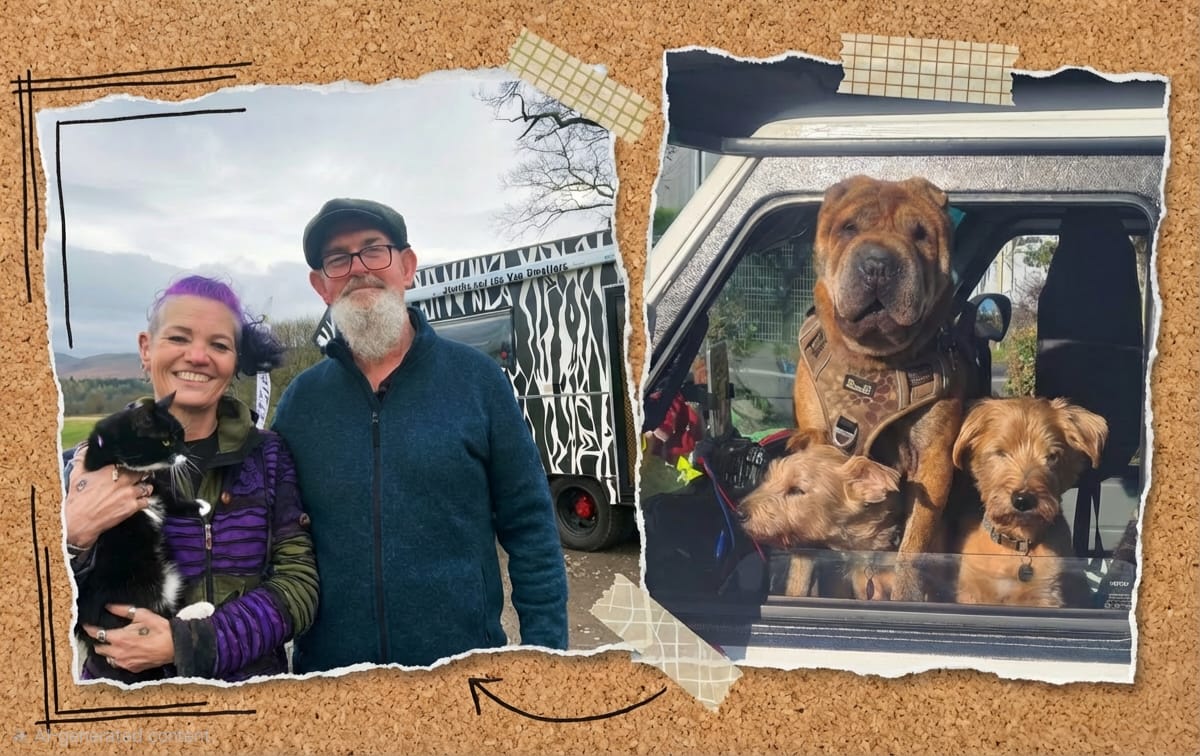 Highlands to Hammocks at Vanlife Festival